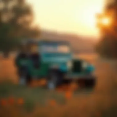 AMC Jeep at a scenic outdoor location